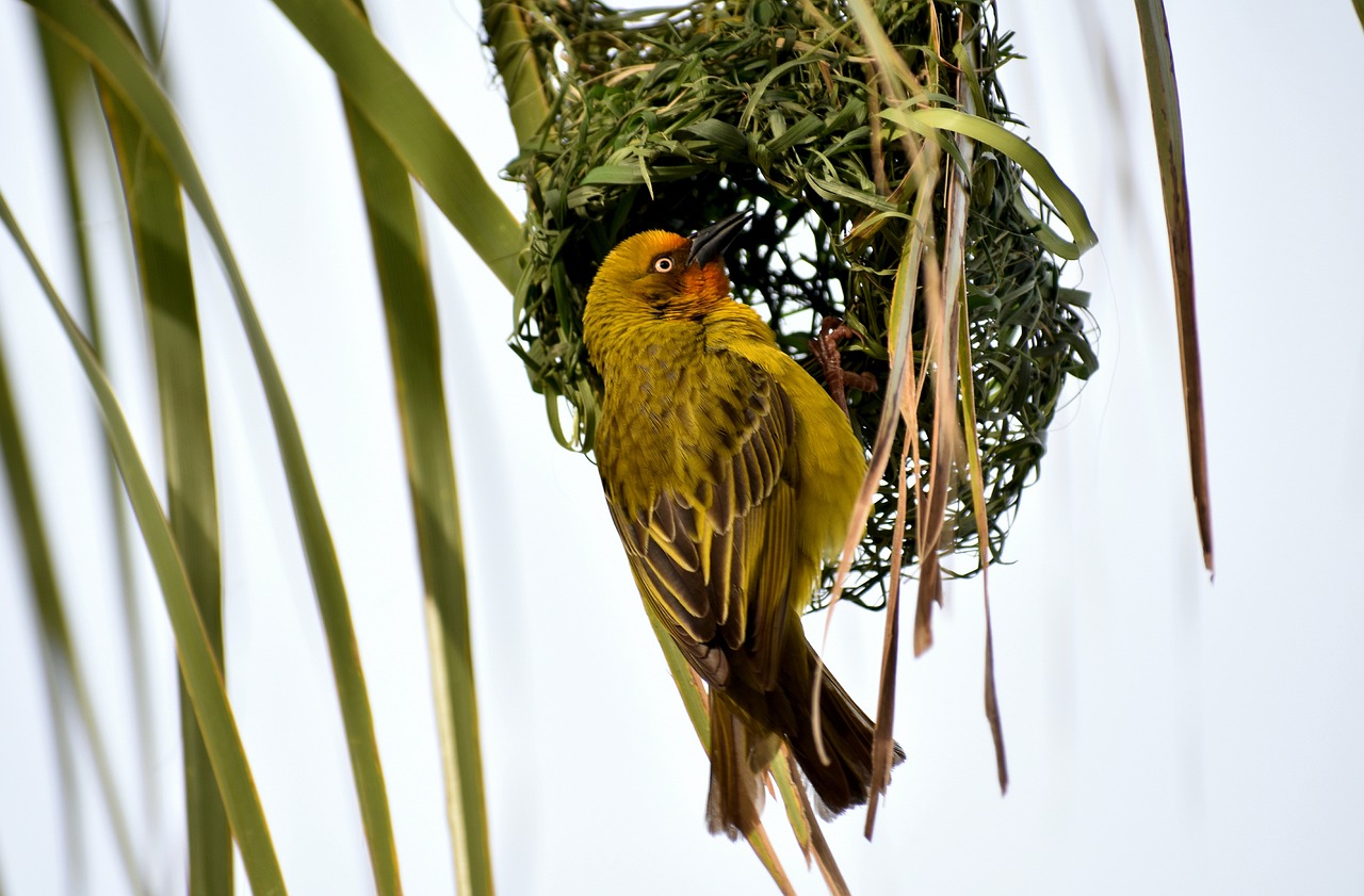 東莞建暉紙業(yè)最新招聘動態(tài)及職業(yè)發(fā)展探討，招聘信息與職業(yè)發(fā)展機會一覽