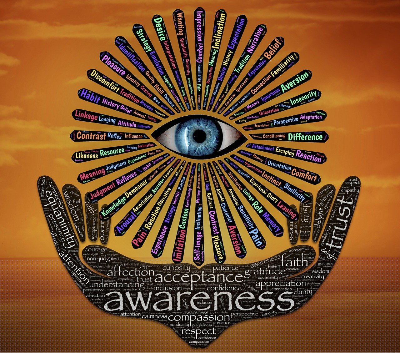 權(quán)力巔峰，官場(chǎng)探索與反思的啟示