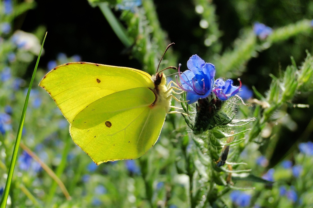 天津津南永旺最新狀況概覽，最新進(jìn)展與動(dòng)態(tài)更新