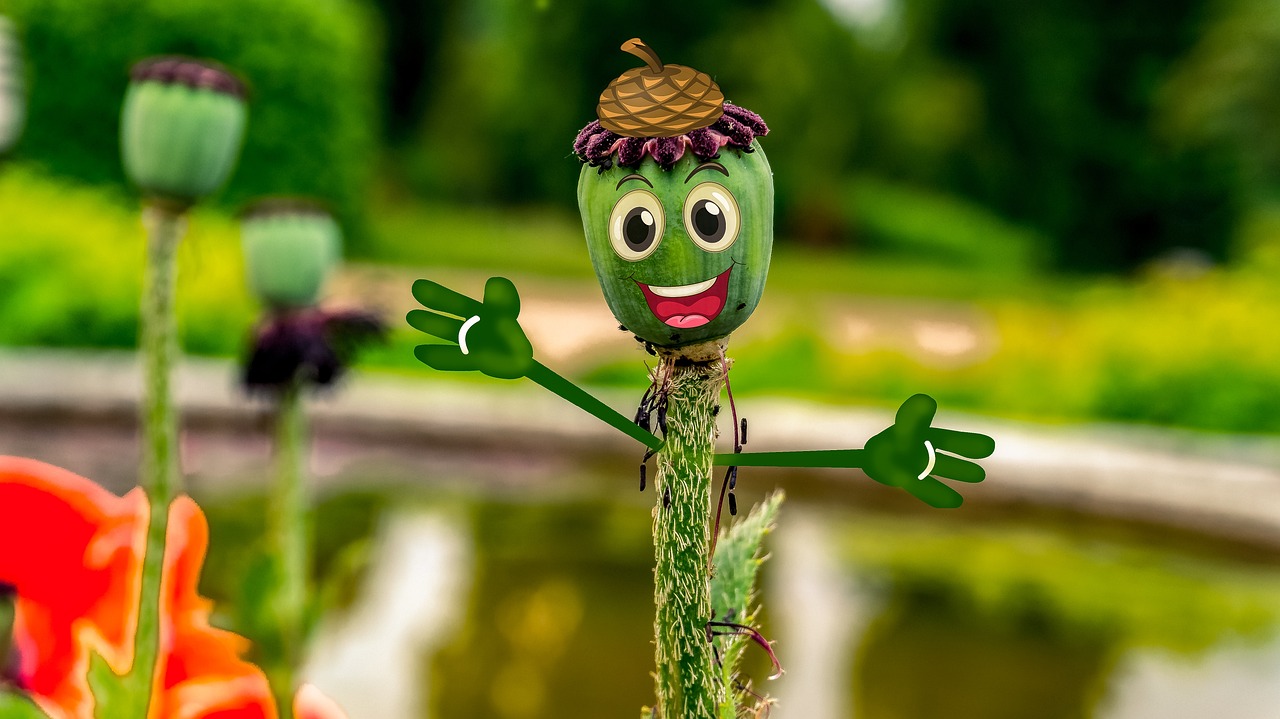 阿凡提下載免費最新版，智慧與樂趣的完美融合體驗