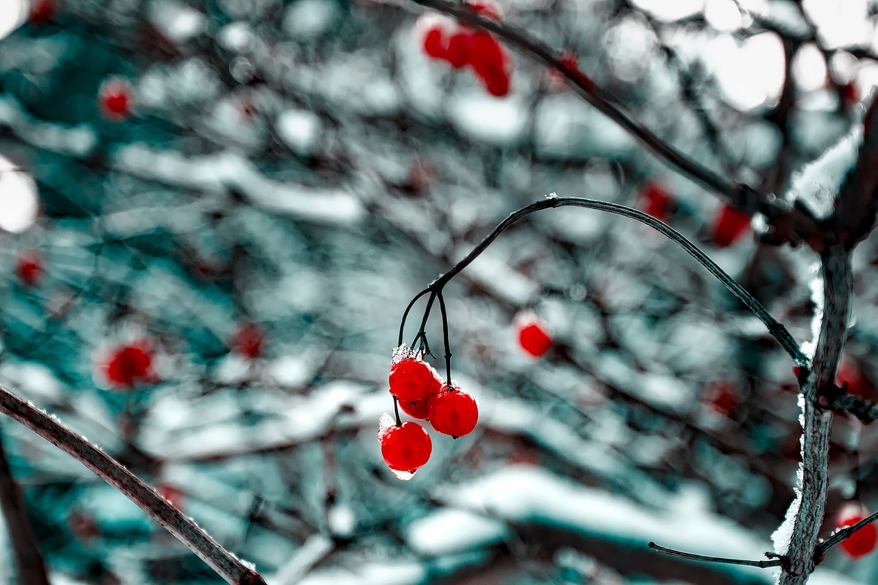 肖致遠(yuǎn)續(xù)寫(xiě)輝煌，一路青云最新進(jìn)展報(bào)道