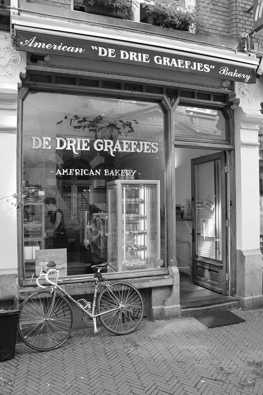 鳳翔湖濱世紀(jì)最新動(dòng)態(tài)，成為城市發(fā)展的璀璨明珠