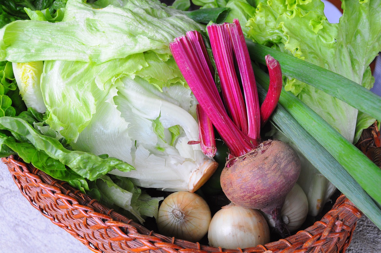 臺風(fēng)最新動態(tài)，廣泛影響需加強(qiáng)防范