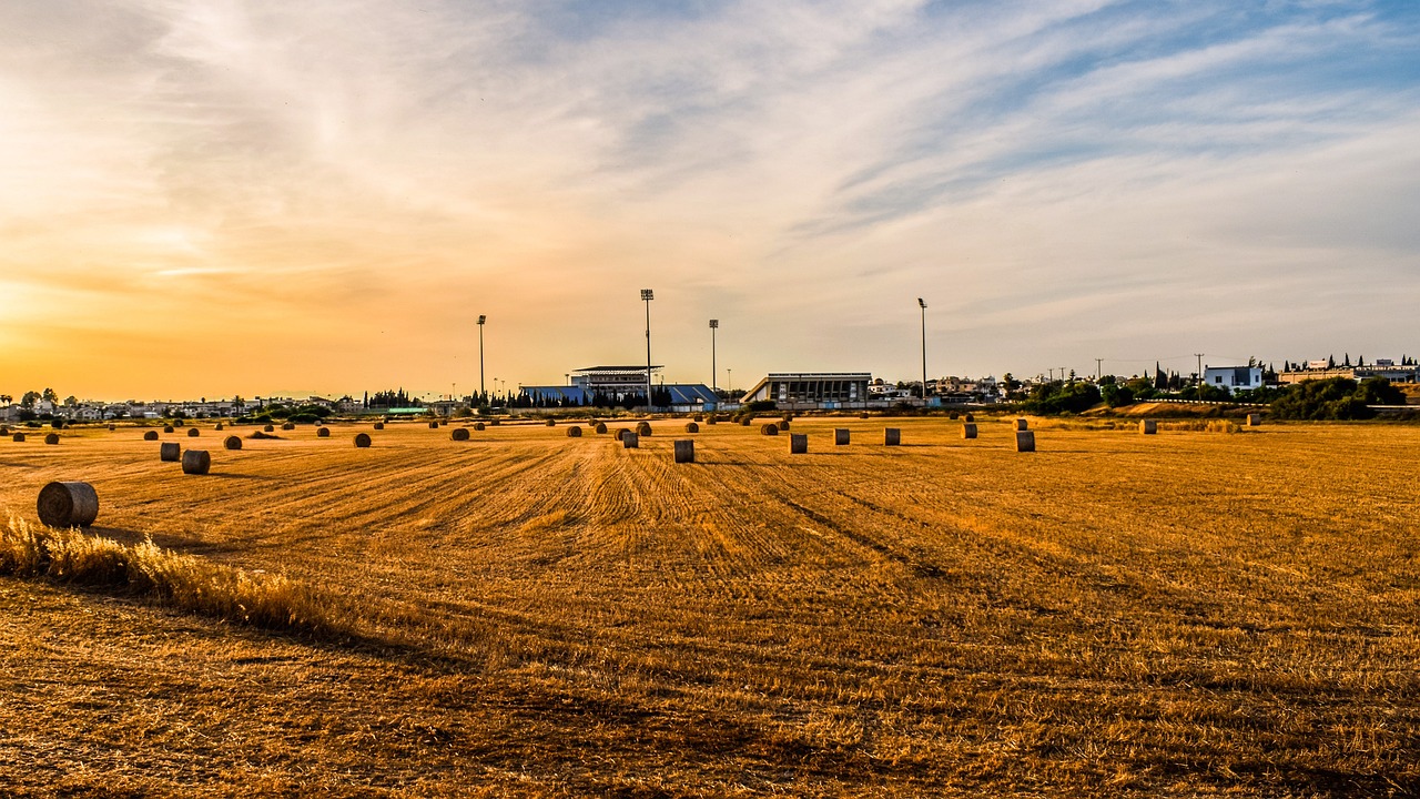 地稅機(jī)構(gòu)改革最新動(dòng)態(tài)，深化稅務(wù)改革，優(yōu)化服務(wù)以提升效率