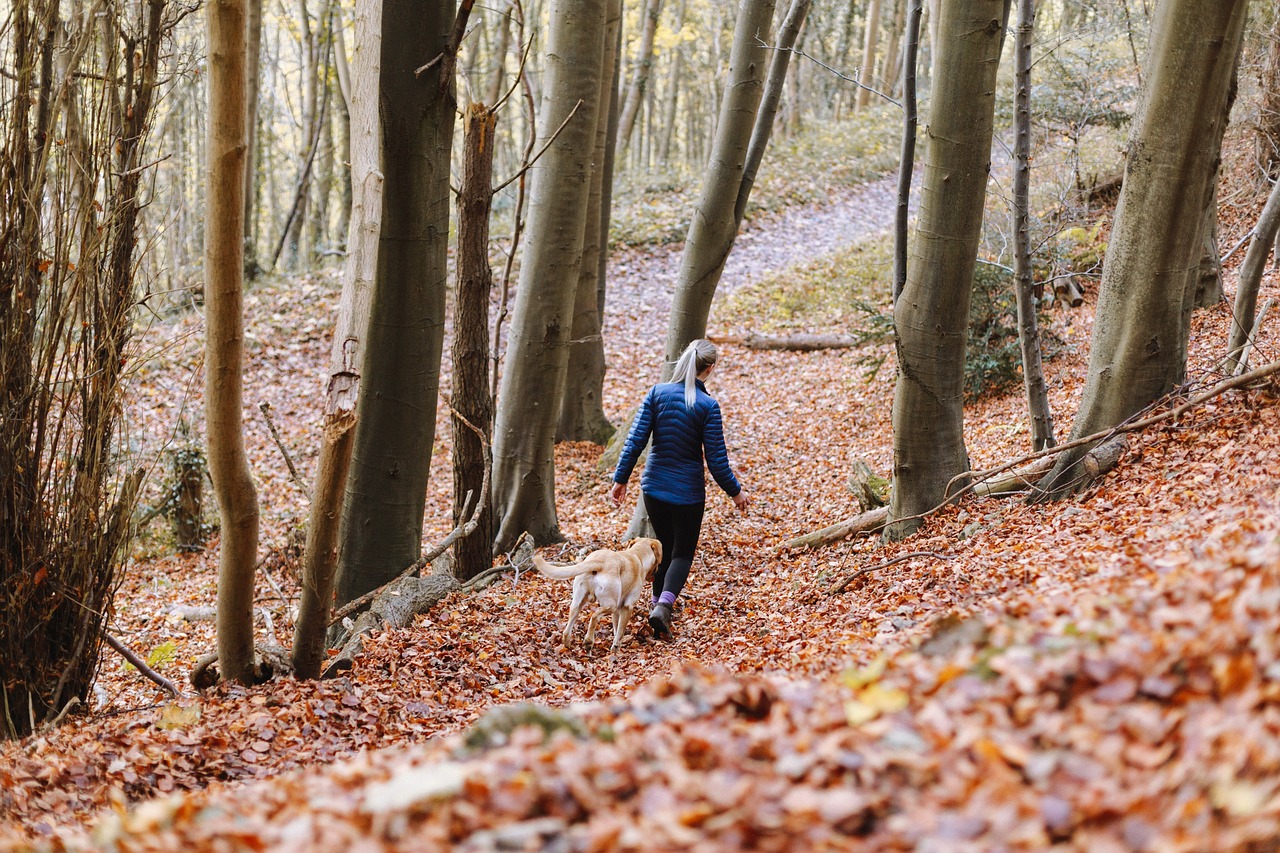 遵義鈦業(yè)集團(tuán)最新動態(tài)深度解析