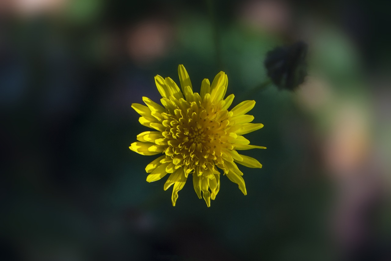 湛江仁?；▓@最新動態(tài)更新