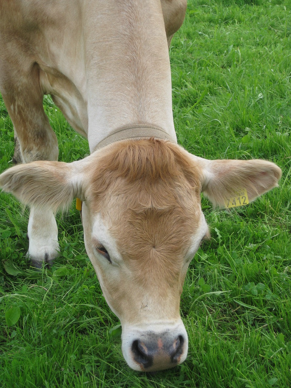 芊茗靜語 第21頁(yè)