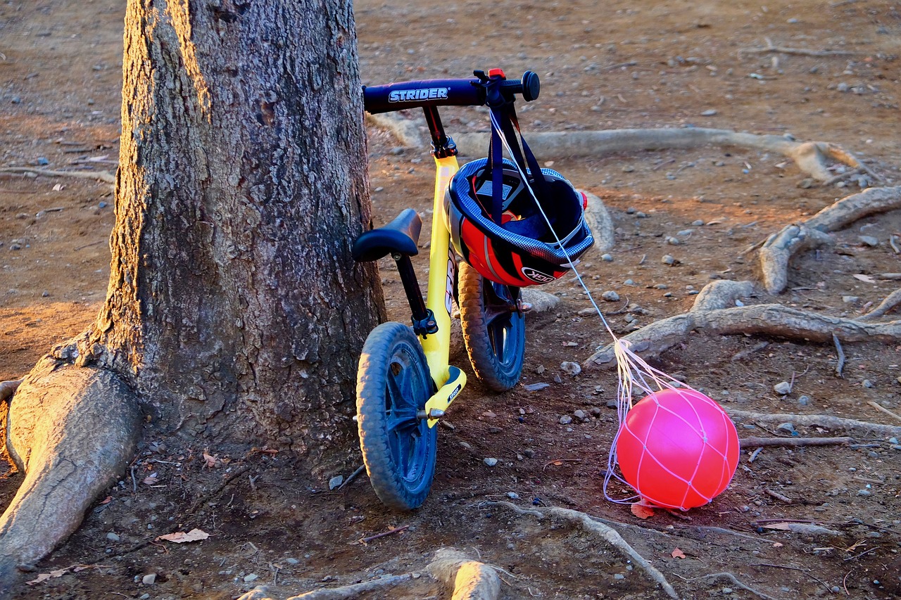 收養(yǎng)法修改最新動態(tài)，重塑收養(yǎng)制度，保障兒童權(quán)益