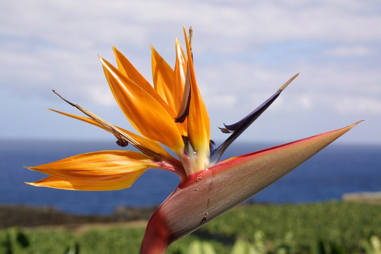 滬強(qiáng)巴黎春天最新動(dòng)態(tài)，先鋒力量重塑城市魅力