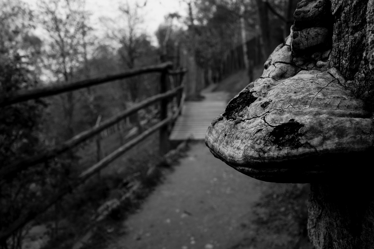 九江瞰江郡最新動態(tài)更新，九江瞰江郡最新狀況速遞