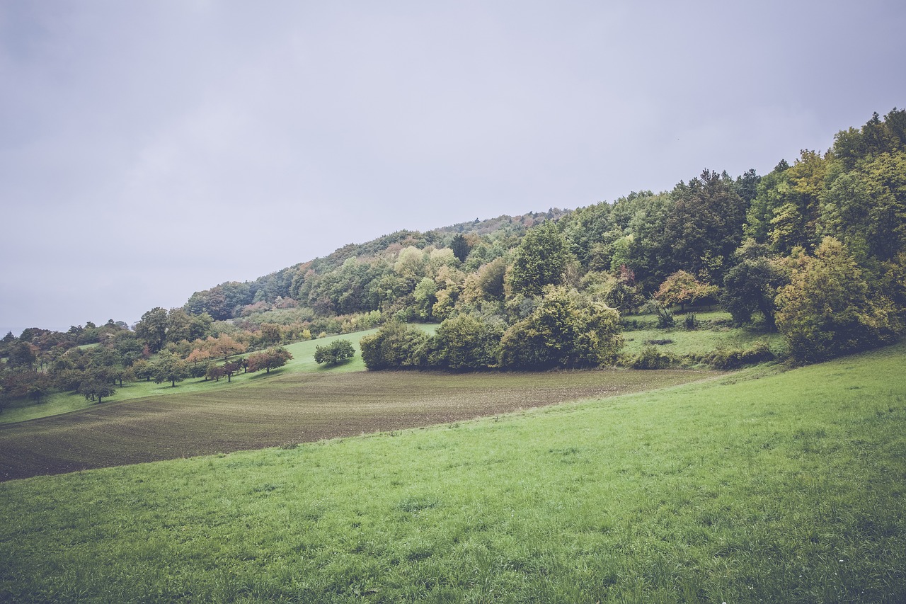 上港孫祥最新動態(tài)及未來展望，賽場內外的關注焦點