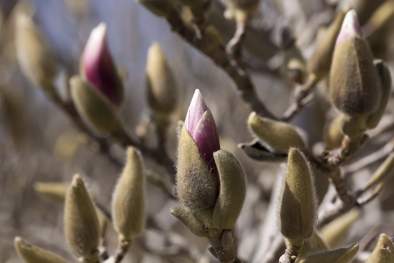 泗陽高鐵最新進展報告更新，最新動態(tài)揭秘！