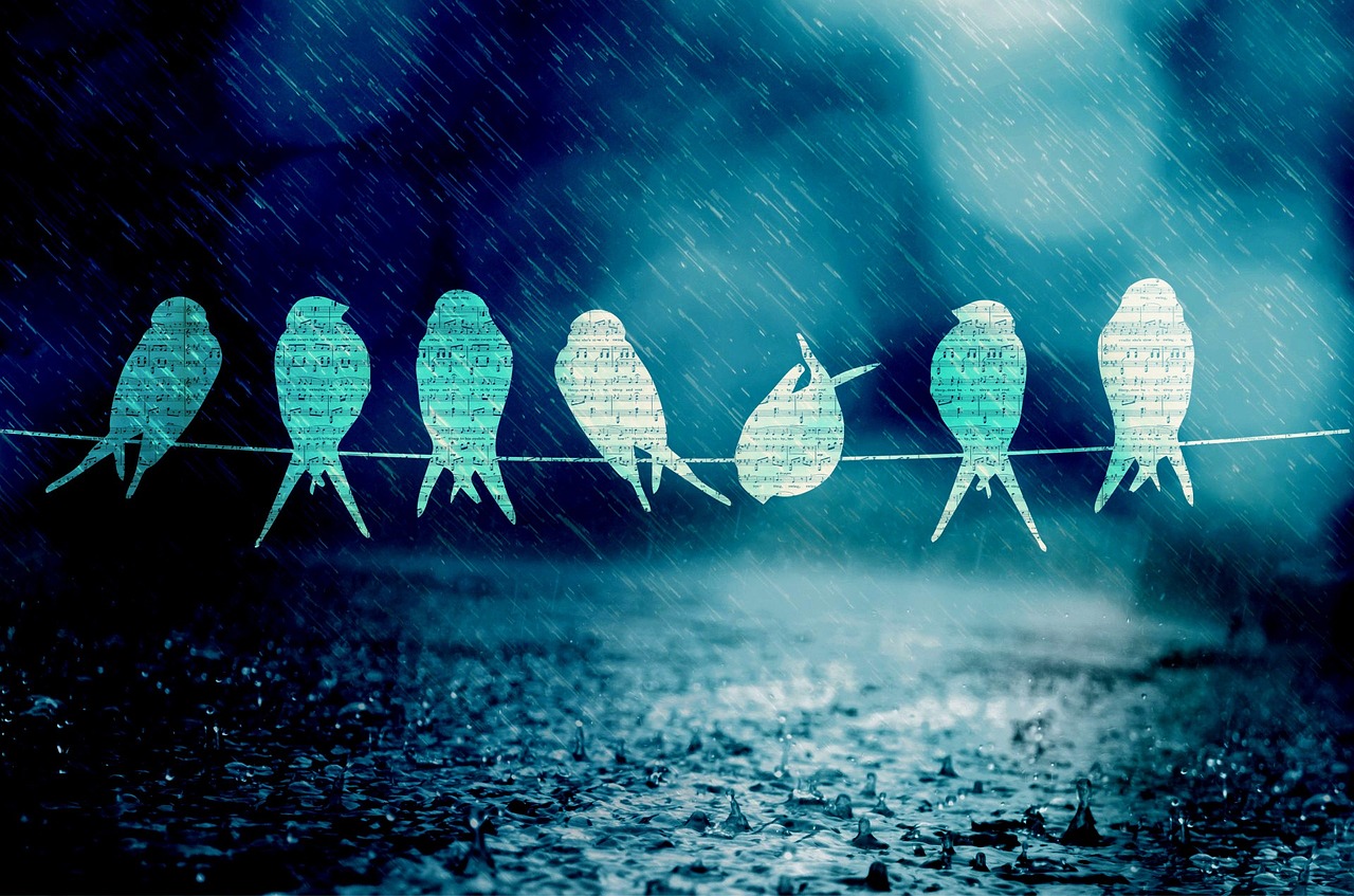 舟山自貿(mào)區(qū)蓬勃發(fā)展，海洋經(jīng)濟(jì)新引擎揭秘最新動(dòng)態(tài)