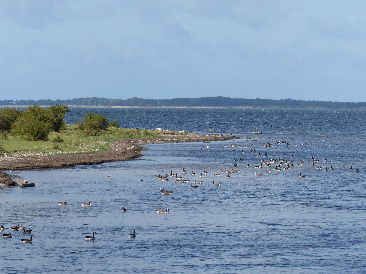 澄邁景園悅海灣最新房價(jià)動(dòng)態(tài)解析及趨勢展望