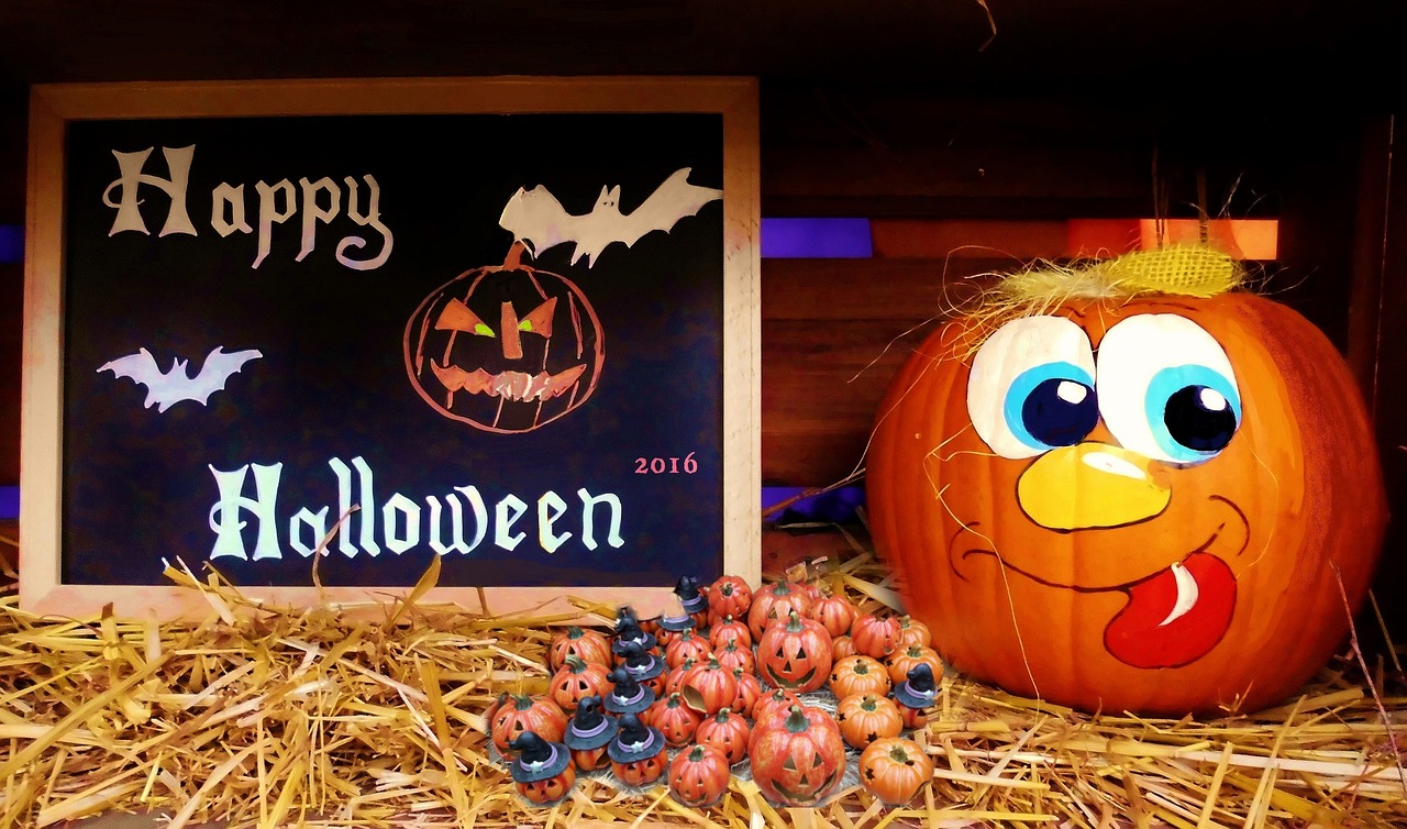 營山?？堊钚聞討B(tài)揭秘，探尋最新消息，揭開神秘面紗