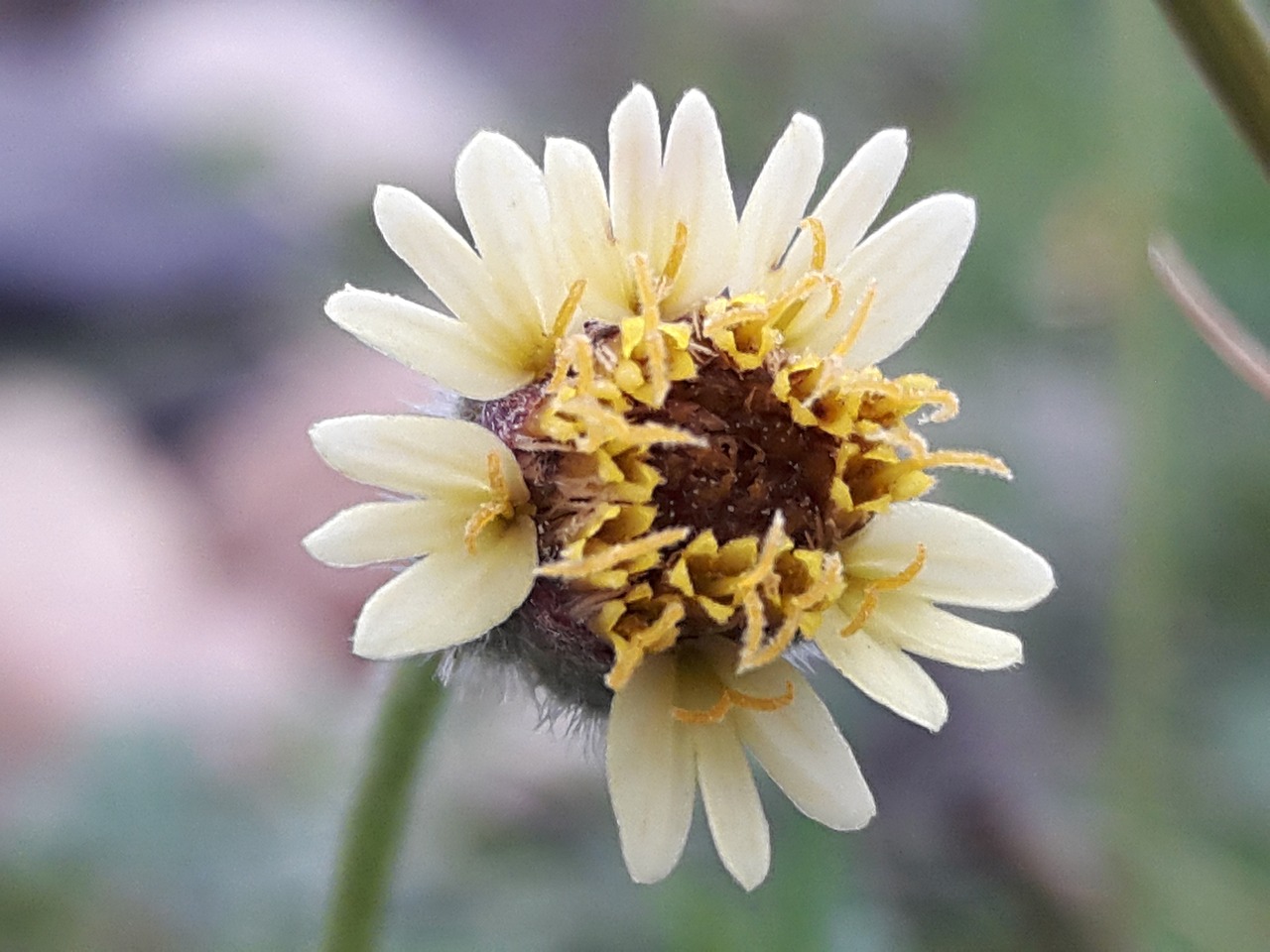 烏市地鐵招工最新動(dòng)態(tài)，城市軌道交通建設(shè)中的機(jī)遇與挑戰(zhàn)并存