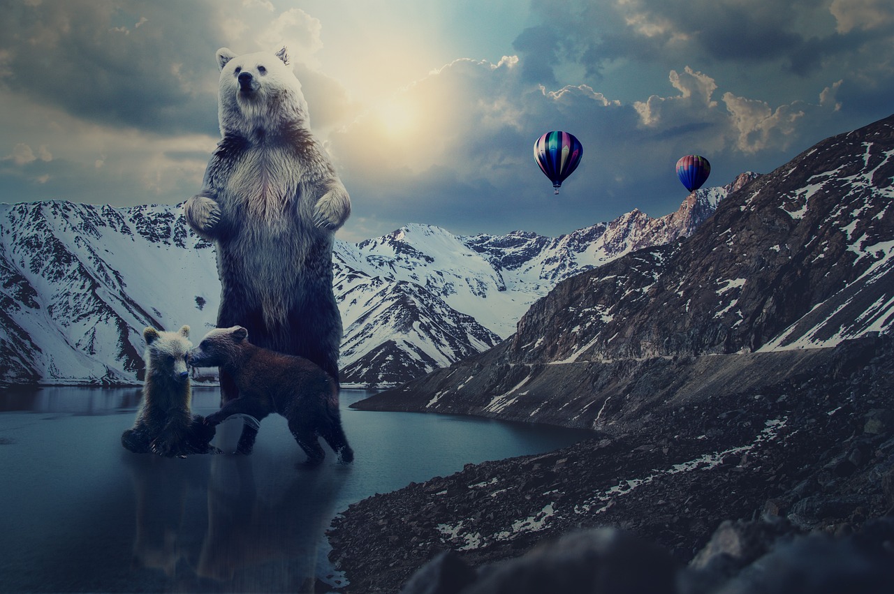 帝王雷最新版本下載，探索與體驗之旅