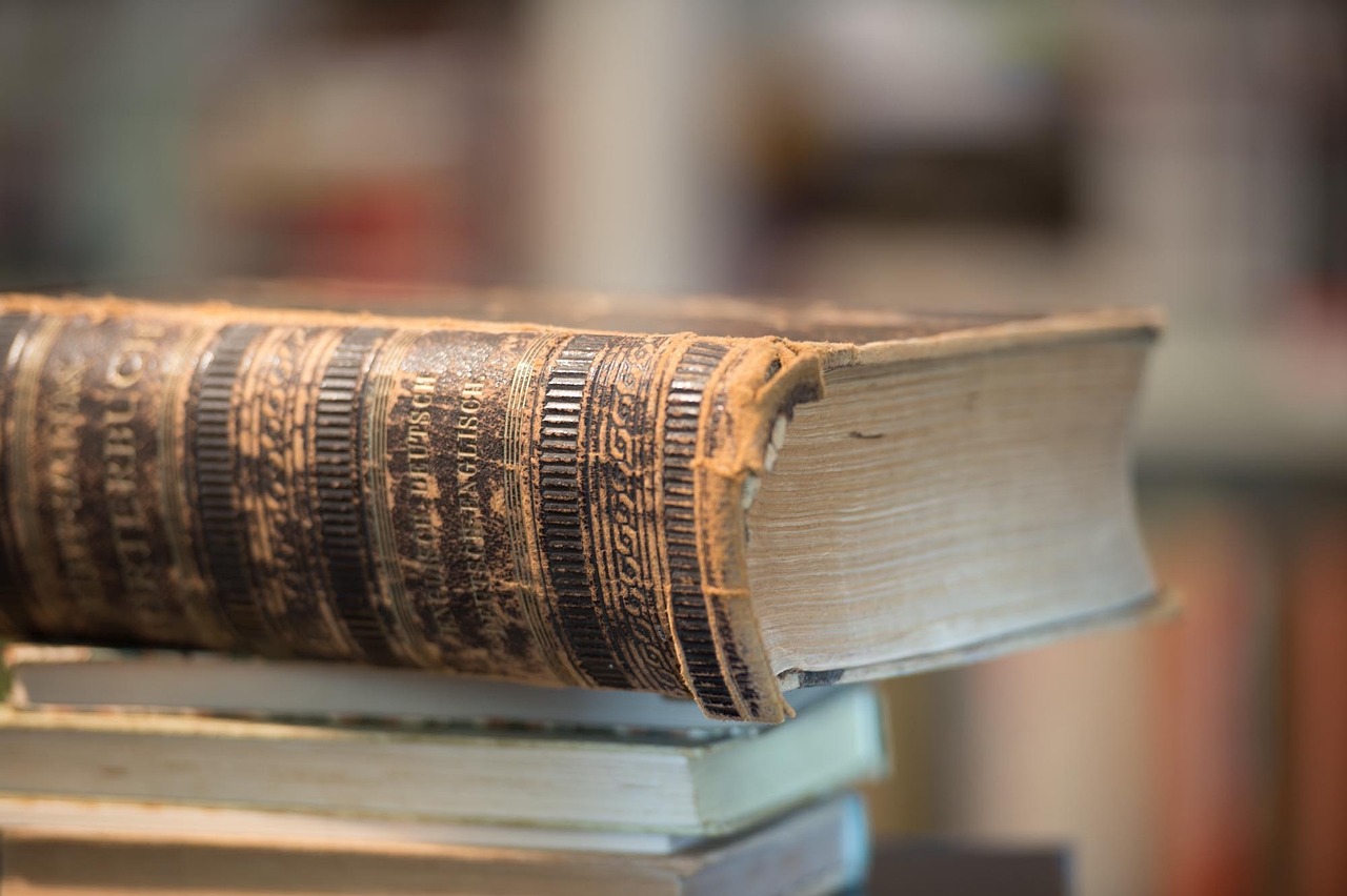 溫柔不夠 第16頁