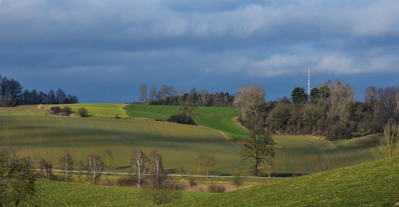 漳州陽(yáng)光美地最新動(dòng)態(tài)更新，最新消息匯總
