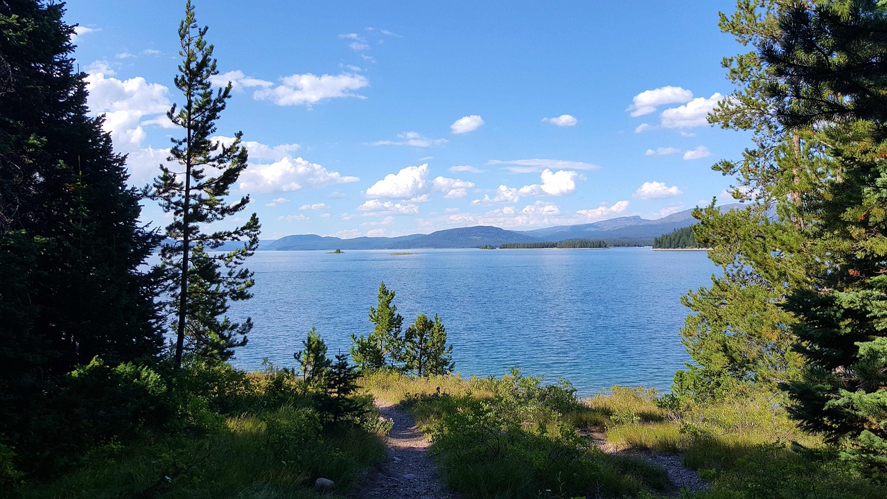 青娛樂(lè)最新地址探尋之旅，探索最新動(dòng)態(tài)與娛樂(lè)盛宴的門(mén)戶