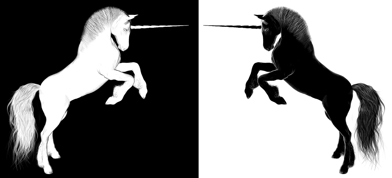 上海浦東合慶最新招聘動態(tài)，影響與趨勢分析