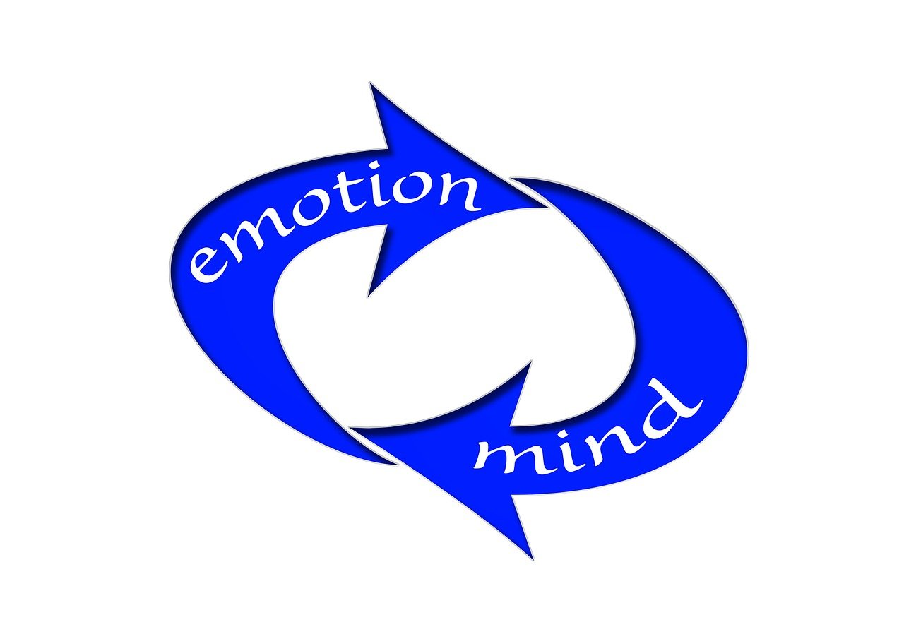 哈佛W01最新消息，引領教育創(chuàng)新與未來發(fā)展