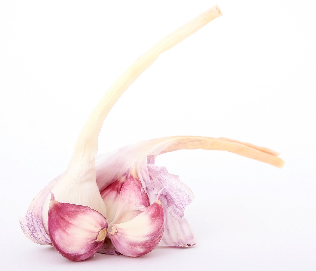 香兒最新廣場(chǎng)舞雙人舞，舞動(dòng)生活的優(yōu)美旋律