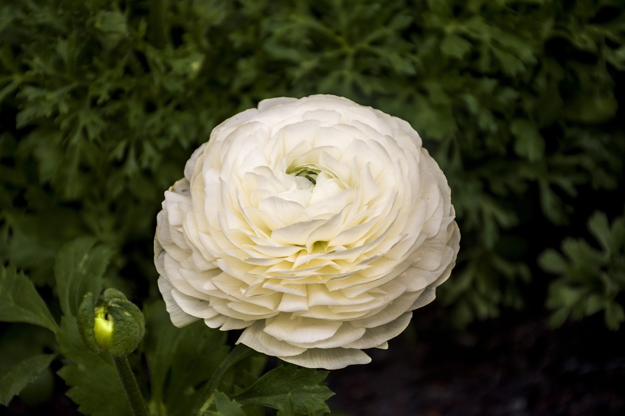 昆山花橋?；▓@最新房?jī)r(jià)動(dòng)態(tài)及趨勢(shì)分析