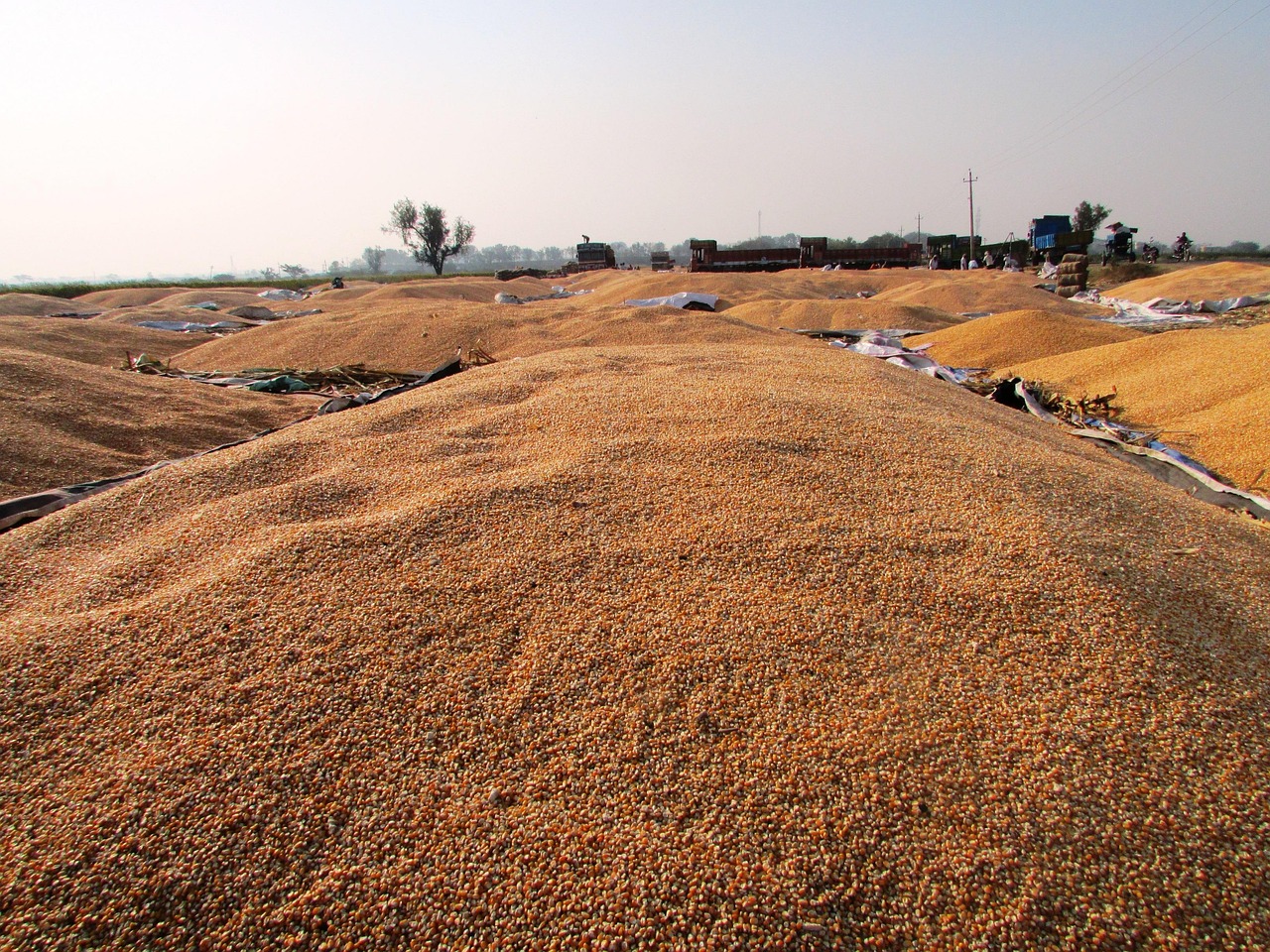 技術(shù)革新引領(lǐng)小型鋼廠行業(yè)新風(fēng)向，最新消息揭秘發(fā)展動態(tài)