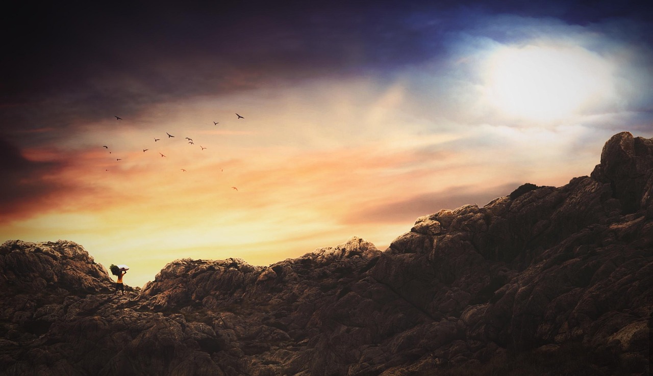 三門個人房屋出租最新信息及動態(tài)更新