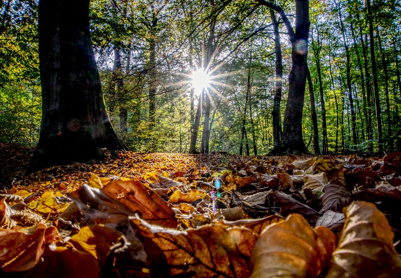 古劍奇譚三最新動(dòng)態(tài)揭秘，新內(nèi)容、玩法與體驗(yàn)全解析