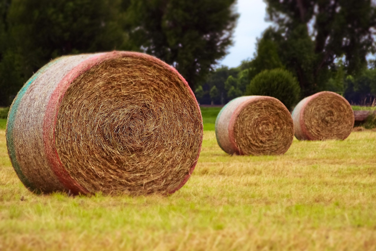 威寧貼吧網(wǎng)最新消息綜述，一網(wǎng)打盡最新動態(tài)