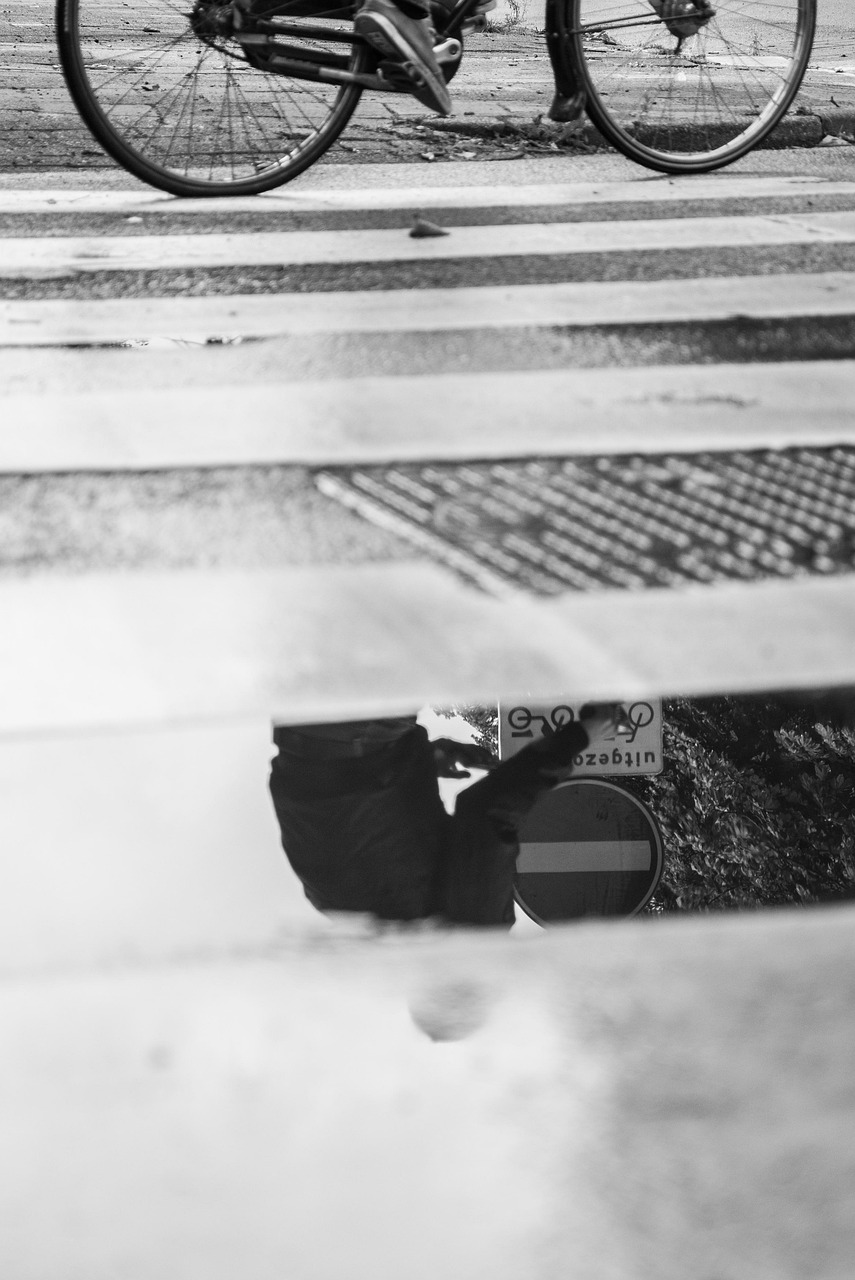 膠南陽(yáng)光一號(hào)最新動(dòng)態(tài)，城市發(fā)展的璀璨明珠持續(xù)更新中