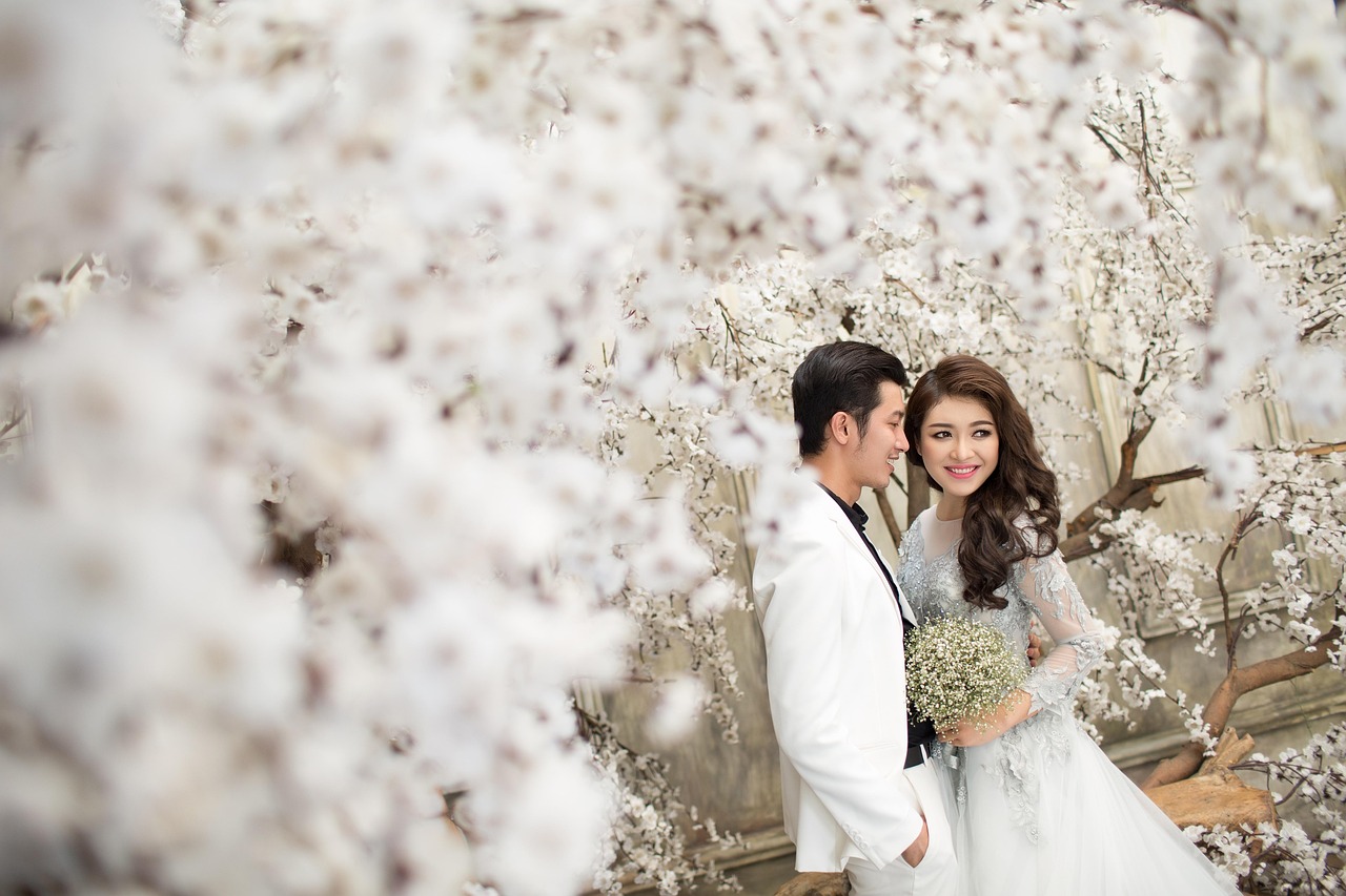 總裁的獨寵妻，權力與情感的碰撞與交織