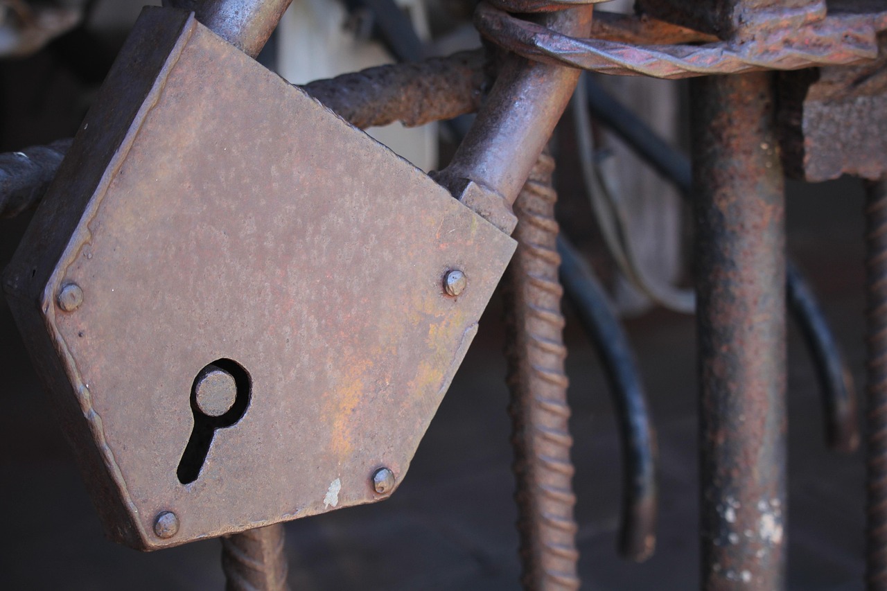 廣東省黨代會最新動態(tài)，新時代的新征程啟航