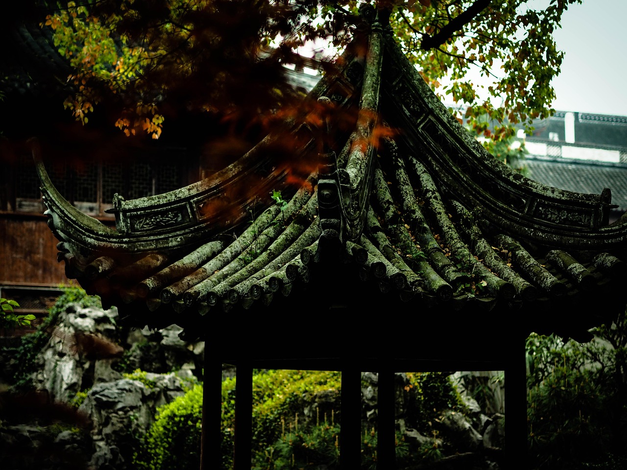 中國女排隊蓄勢待發(fā)，展現(xiàn)新篇章，最新消息與動態(tài)速遞