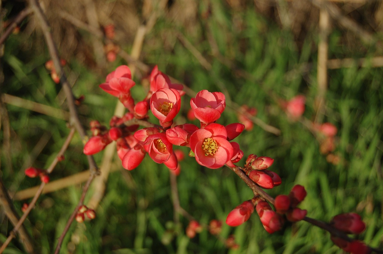 長治花園歌城最新動(dòng)態(tài)報(bào)道，最新消息一覽