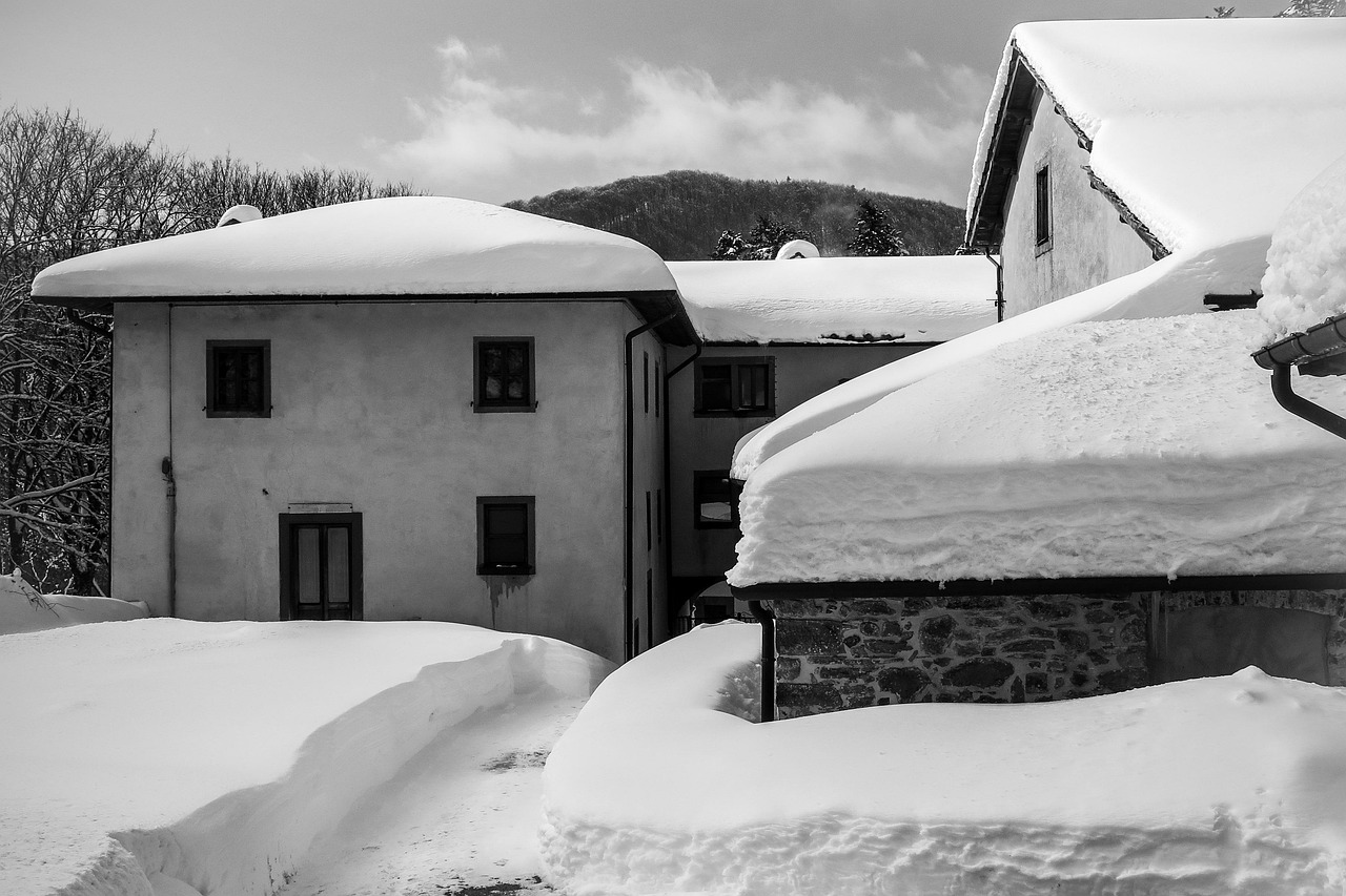 三林拆違動(dòng)態(tài)更新，最新消息匯總