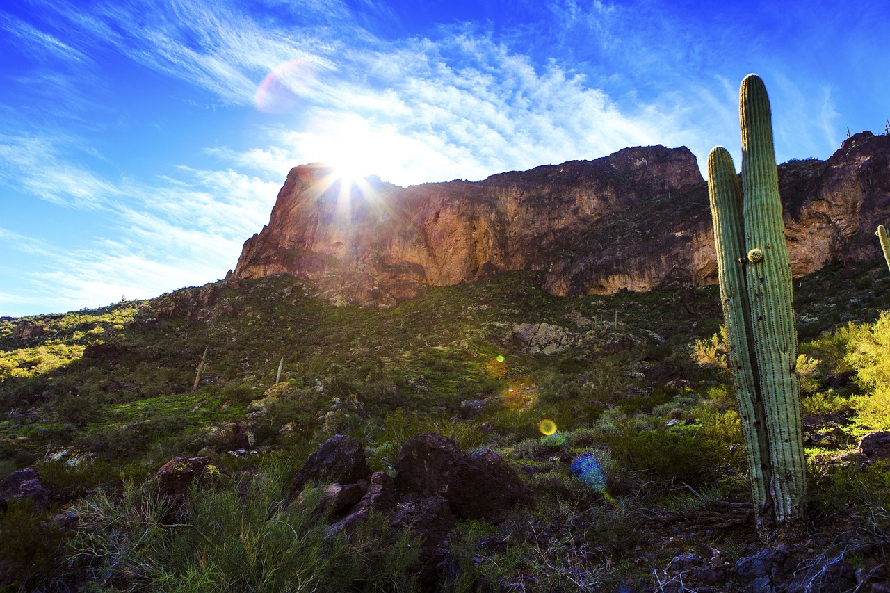 蘭州富士康最新動態(tài)，發(fā)展、影響與未來展望全面解讀
