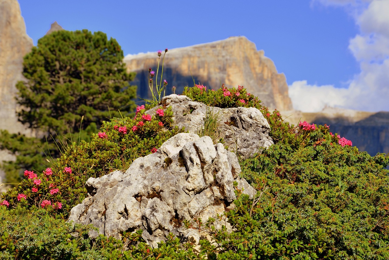 哈市道外區(qū)最新招聘動態(tài)，崗位發(fā)布與影響分析