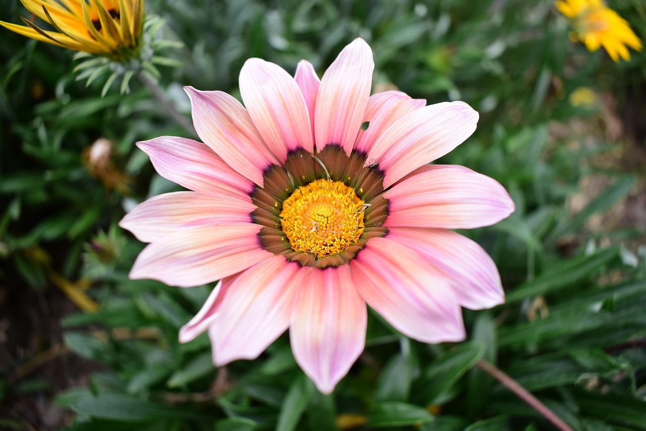 云聯(lián)惠重塑零售業(yè)格局的最新動態(tài)報道，重塑零售業(yè)的力量與趨勢分析