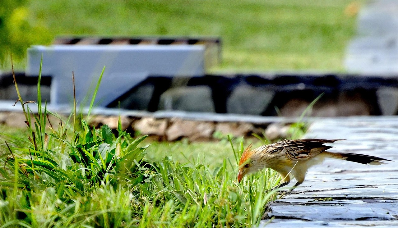 宜賓萬達(dá)廣場(chǎng)最新動(dòng)態(tài)更新，最新消息一覽