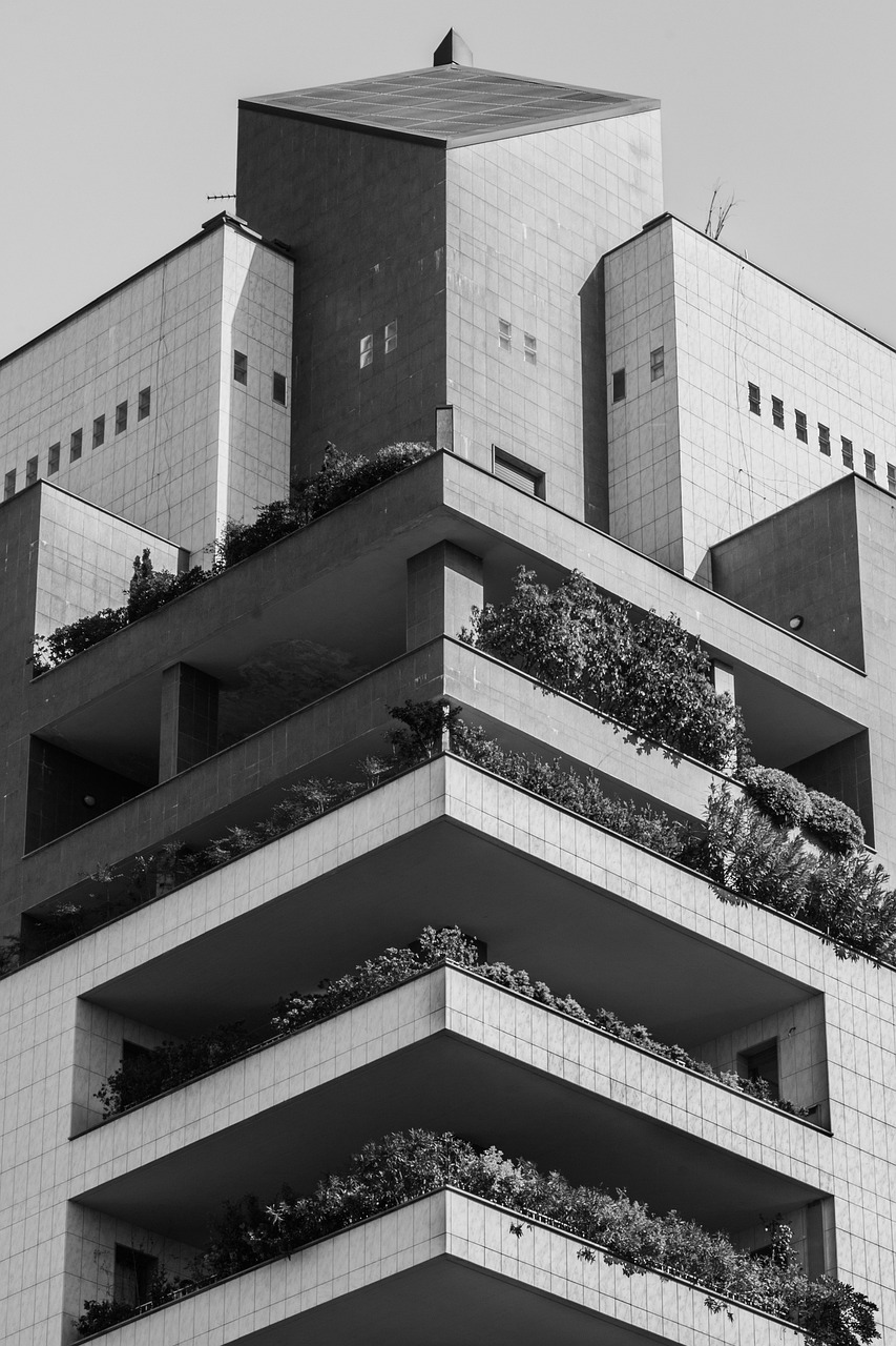 秦漢大道二期最新動(dòng)態(tài)，建設(shè)進(jìn)展及未來(lái)展望