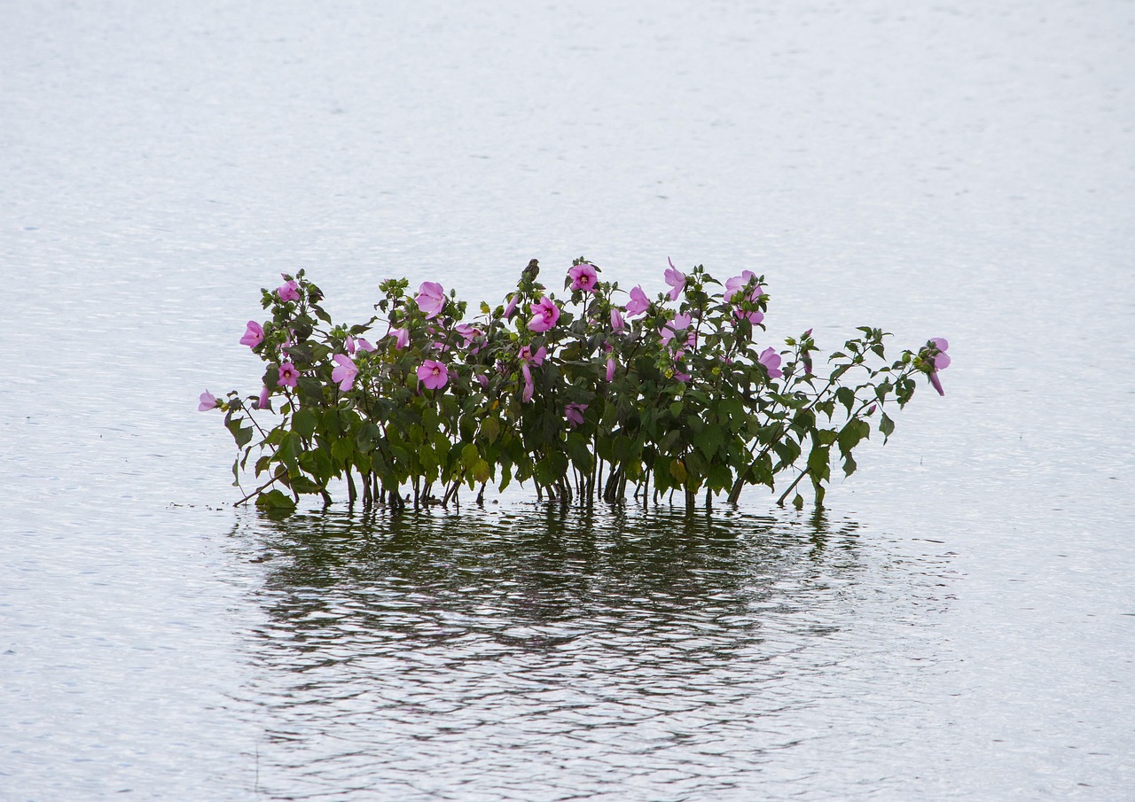 宜張高速湖南建設(shè)進(jìn)展順利，助力地方經(jīng)濟(jì)發(fā)展新動(dòng)態(tài)