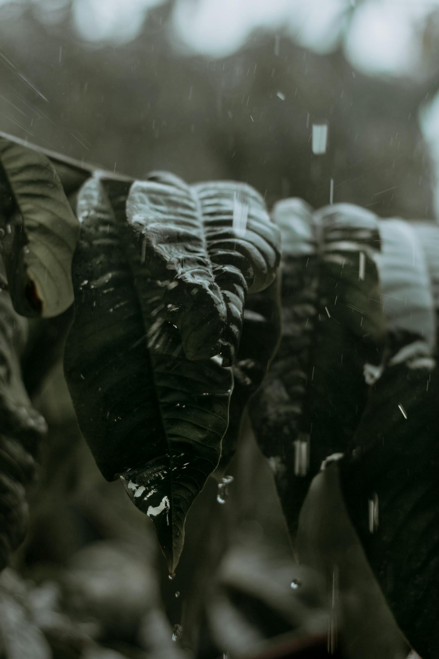 中超遼寧宏運新賽季展望，蓄勢待發(fā)，最新動態(tài)揭秘