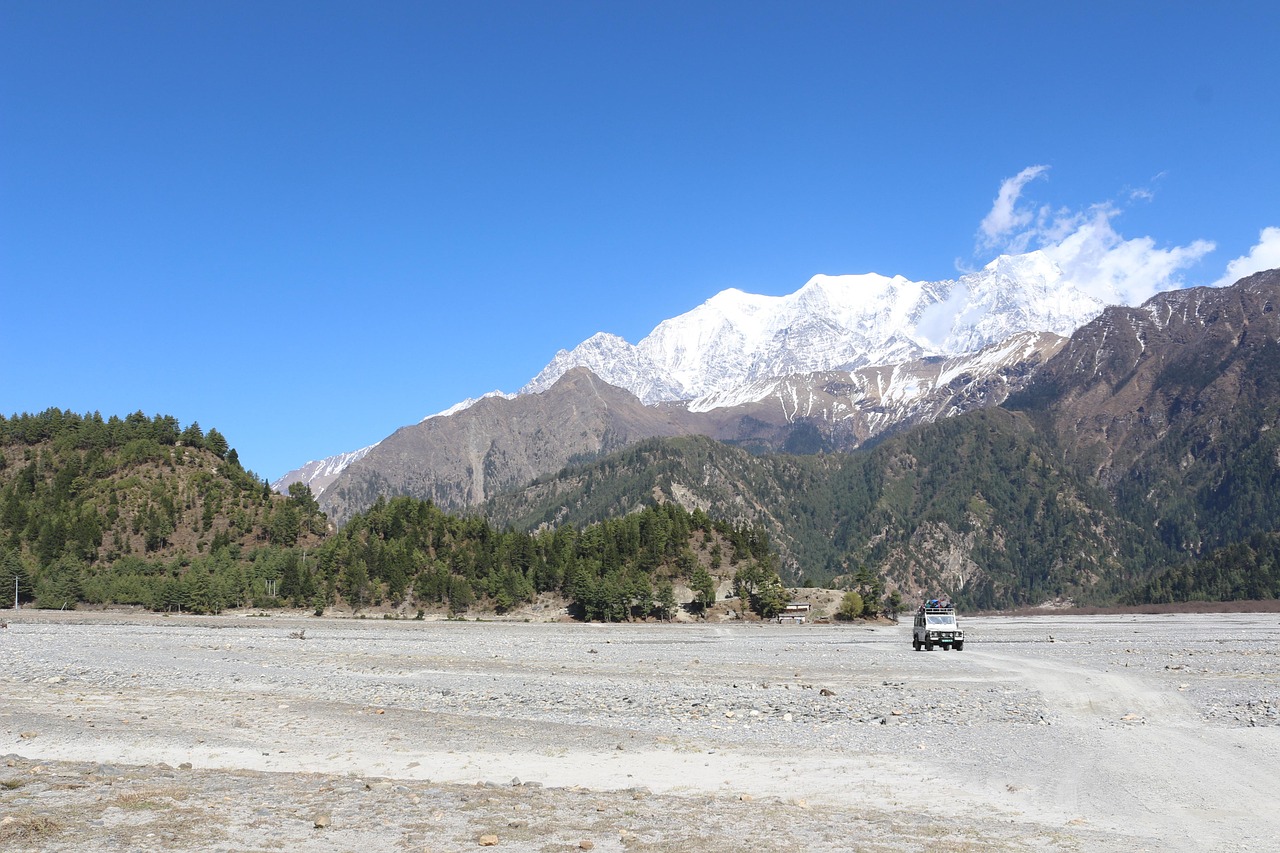 日照最新靚號手機號碼動態(tài)更新