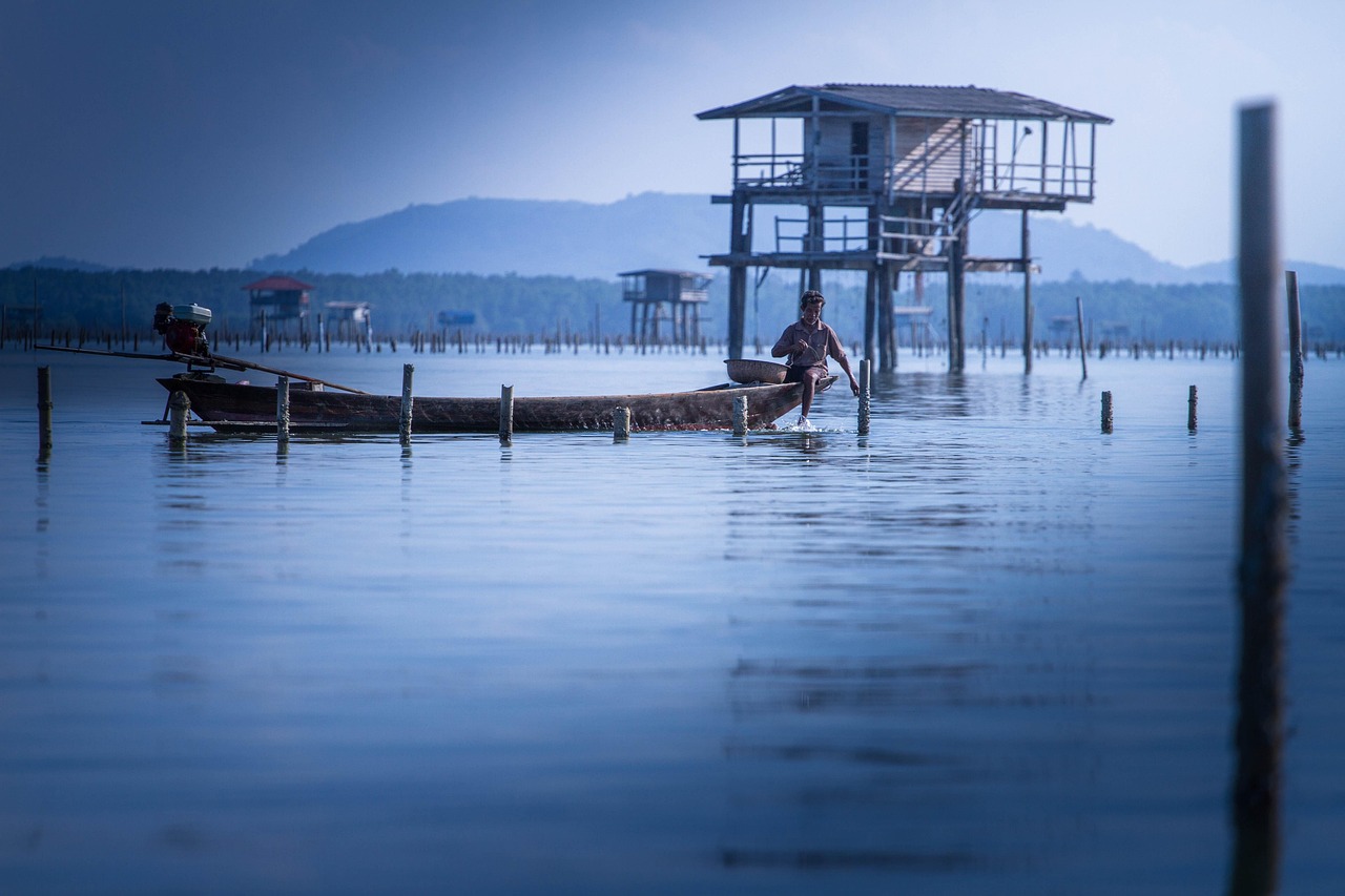 林丹與謝杏芳的最新動態(tài)，賽場之外的生活點滴揭秘