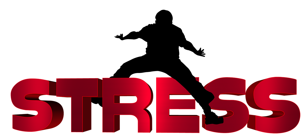 齊河二手車最新信息概覽，最新動態(tài)一網(wǎng)打盡