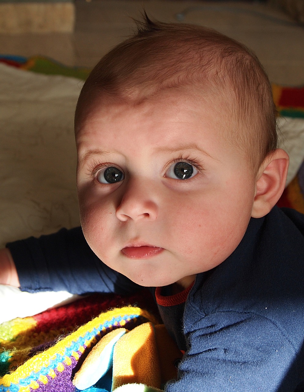 吳立勝與秦飛最新消息綜述，揭秘二人的最新動態(tài)