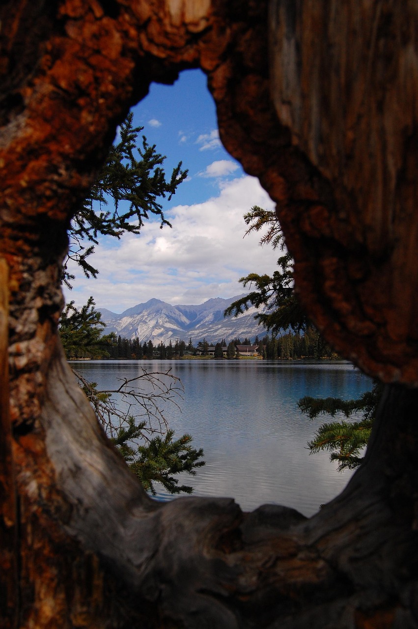 馬蓉最新動態(tài)與反思，風(fēng)波中心的最新消息聚焦點